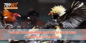 Đá gà Thomo